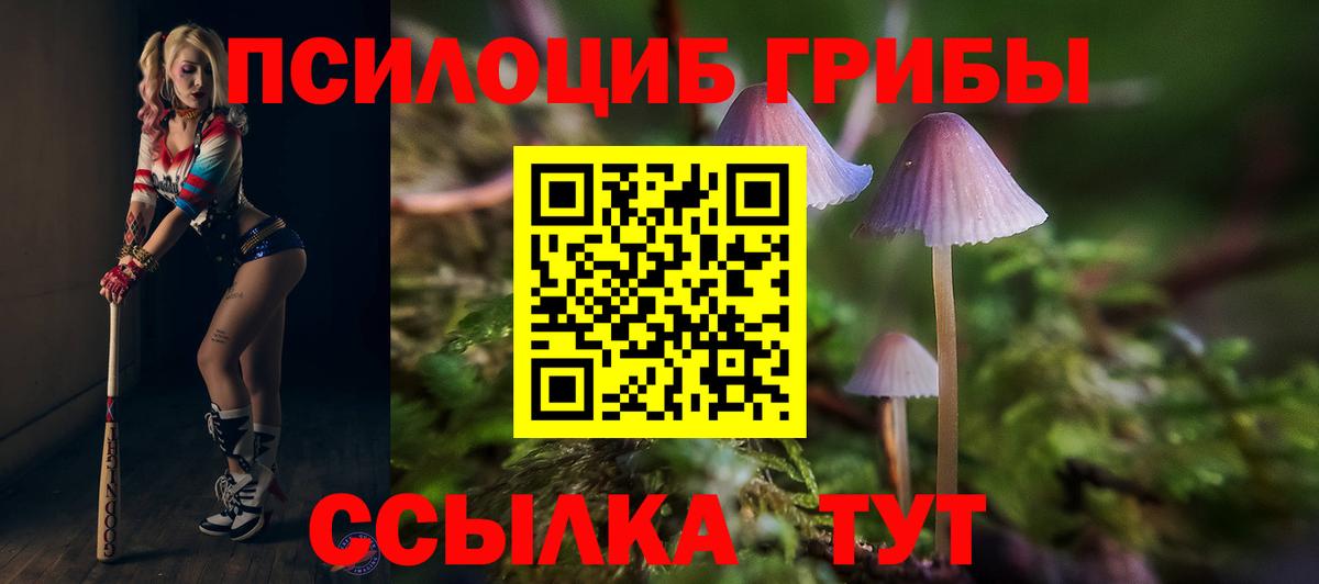 Псилоцибиновые грибы ЛСД Чебоксары